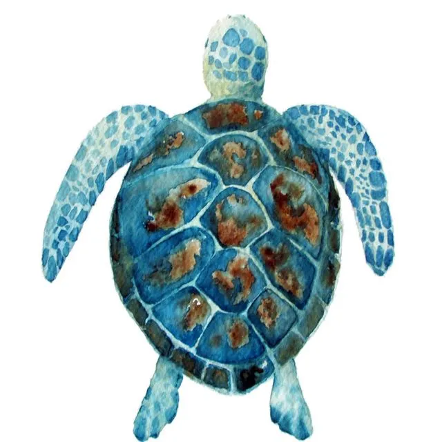 Sea Turtle - Mounted Signed Watercolour Print