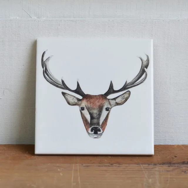 Countryside Animals Coasters