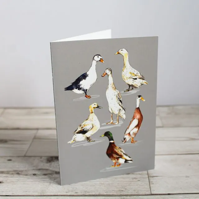 Ducks Greeting Card | Hand Drawn Design by Gemma Keith