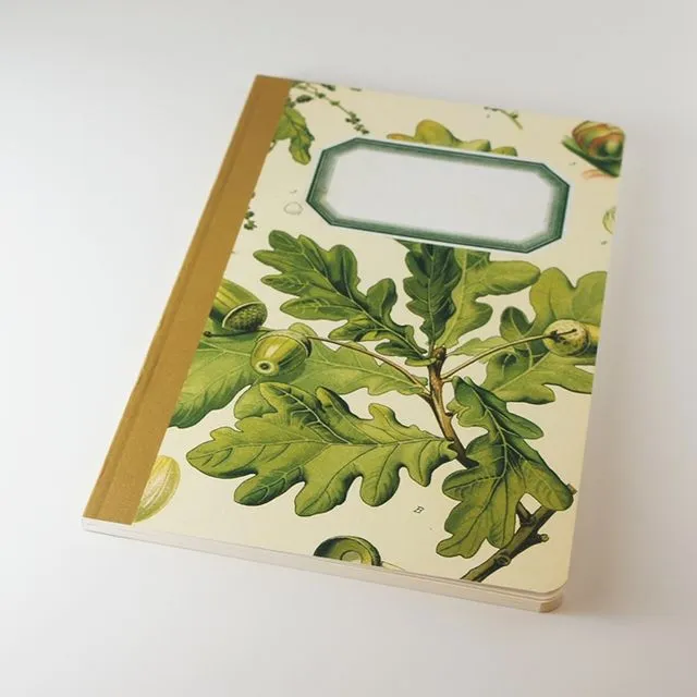 Botanical Notebook – Oak Acorn (WAN18401)