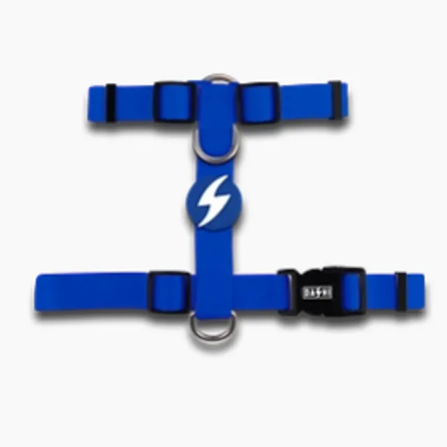 SOLID BLUE BACK HARNESS