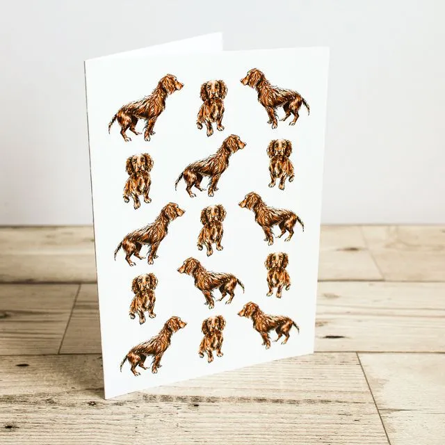 Spaniel Dog Greeting Card | Hand Drawn Design by Gemma Keith