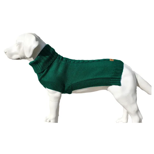 The Jazz Dog Jumper in Green