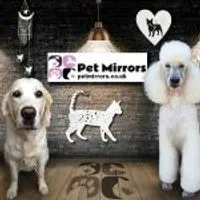 Pet Mirrors avatar