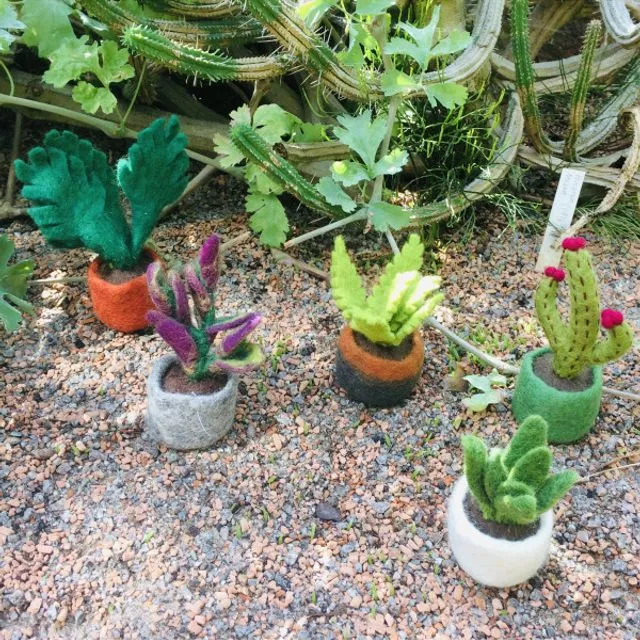 Handmade Needle Felted Miniature Plants Decoration