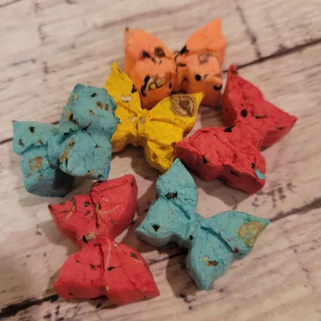 Butterfly Seed Bombs