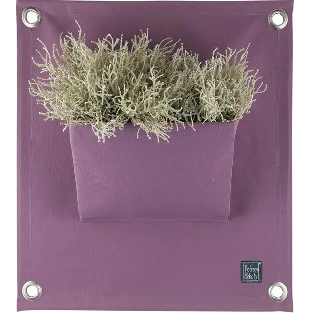 The Green Pockets® AMMA1 A17 Lavender