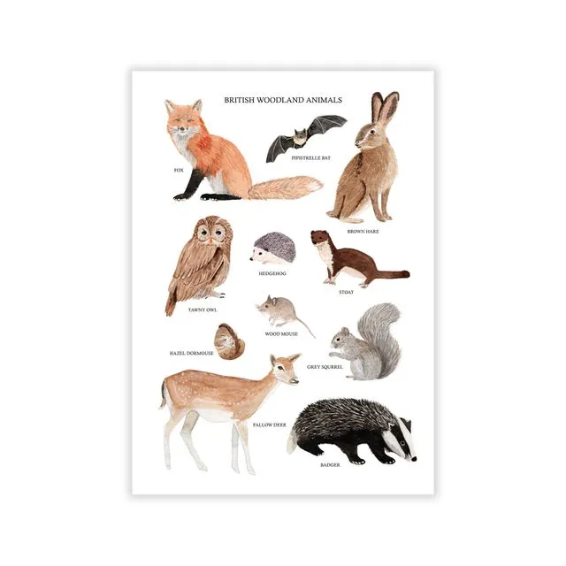 British Woodland Animals Art Print