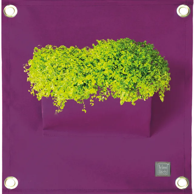 The Green Pockets® AMMA1 A16 Purple