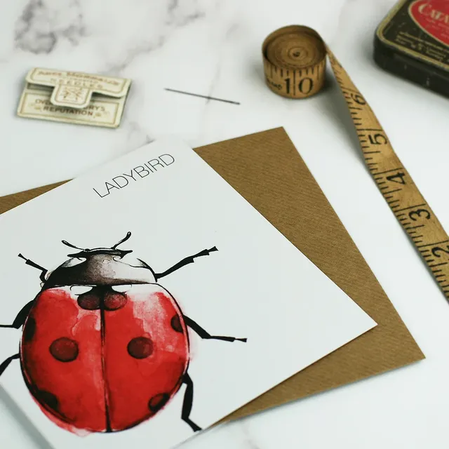 Ladybird Card (pack of 6 cards)