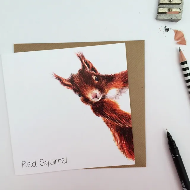 Red Squirrel Card (pack of 6 cards)