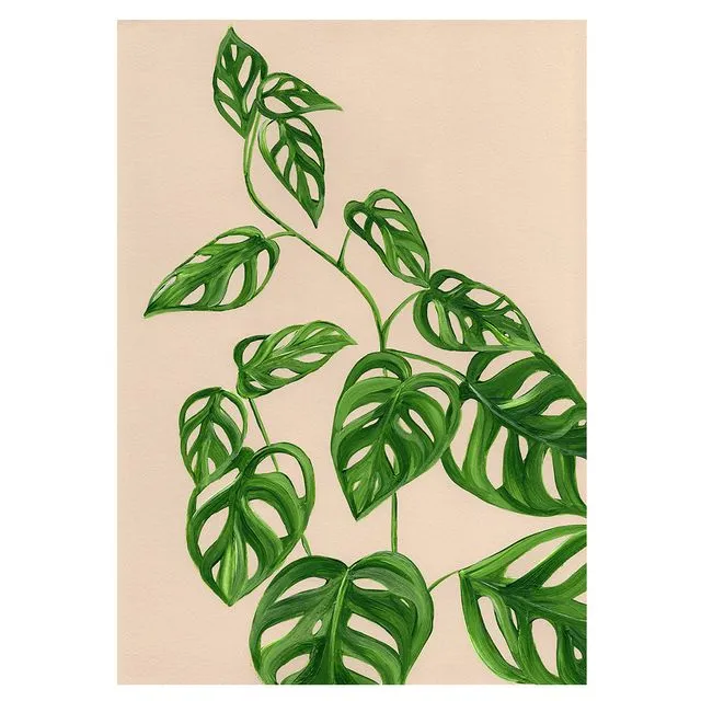 GREENHOUSE MONSTERA Greeting Cards, pack of 6