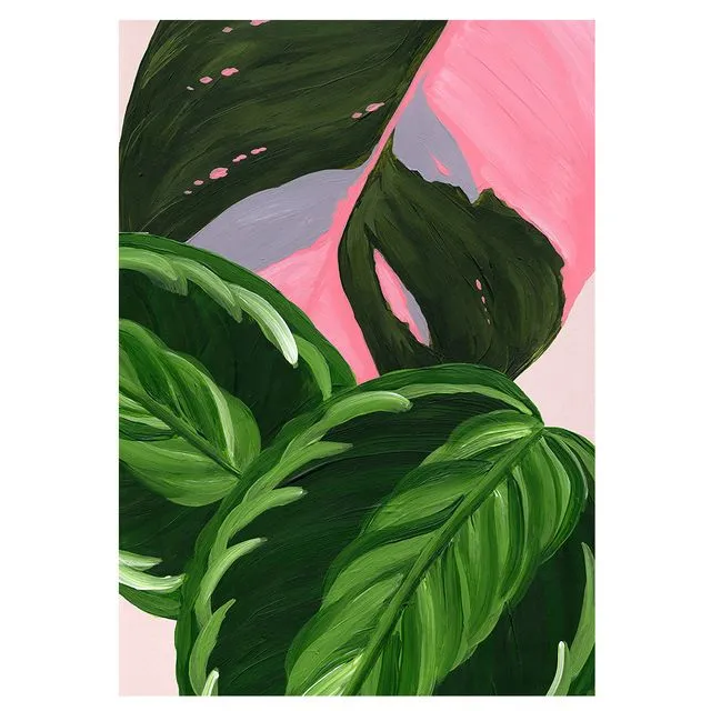 CALATHEA & PHILODENDRON Greeting Cards, pack of 6