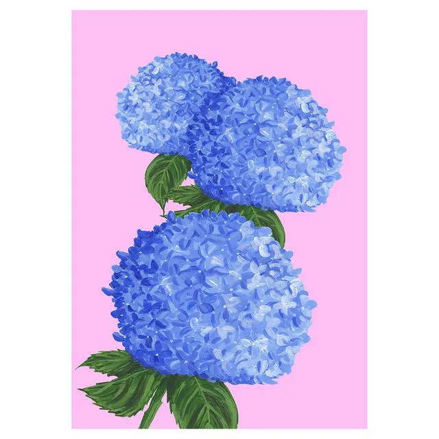 HYDRANGEA Greeting Cards, pack of 6