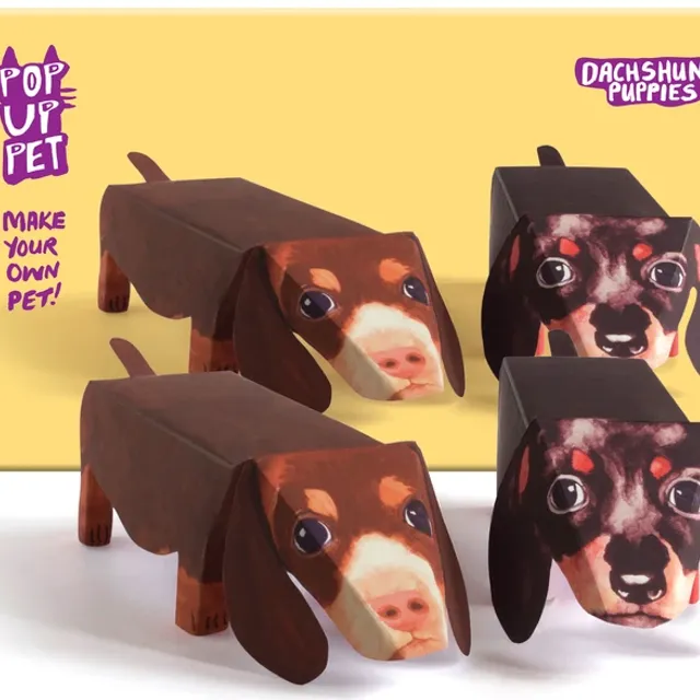 POP UP PET DACHSHUND PUPPIES pack of 6
