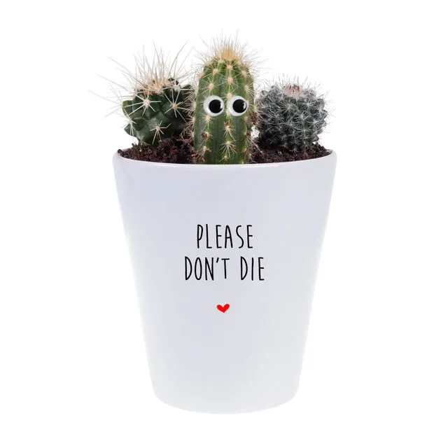 Please Don't Die House Plant Pot Cover / Pot & Growing Kit