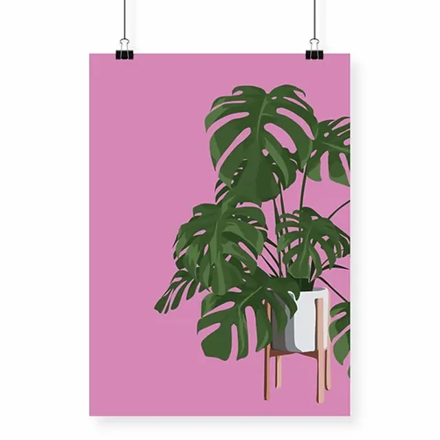 Cheese Plant in Pot Art Print