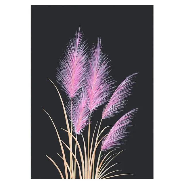 PINK PAMPAS GRASS Greeting Cards, pack of 6