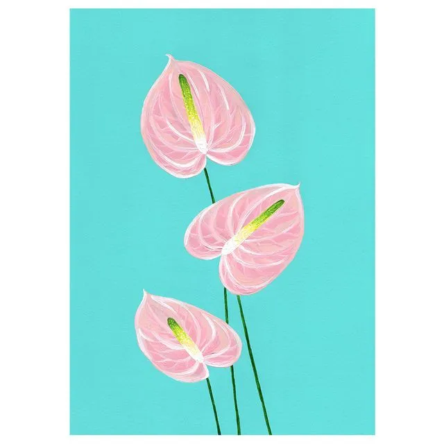 ANTHURIUMS Greeting Cards, pack of 6