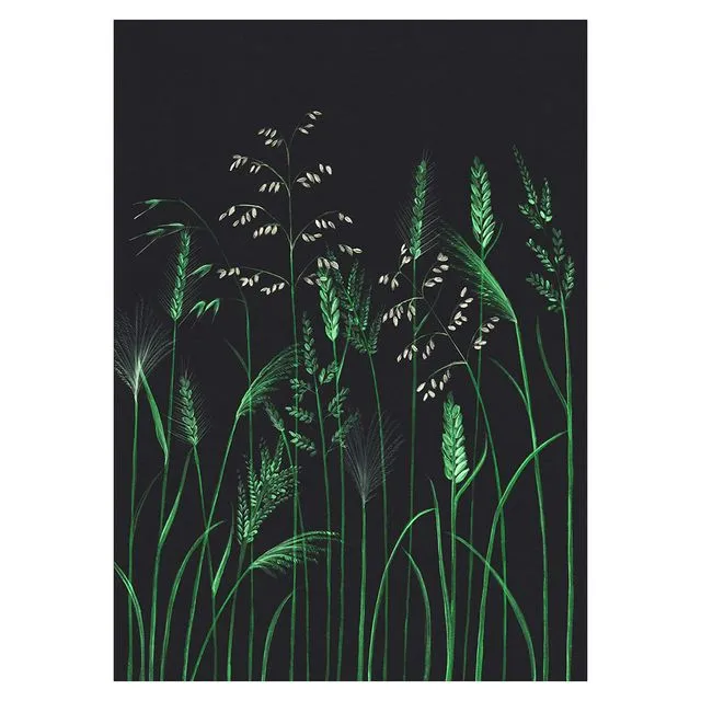 RHS CHELSEA GRASSES Greeting Cards, pack of 6
