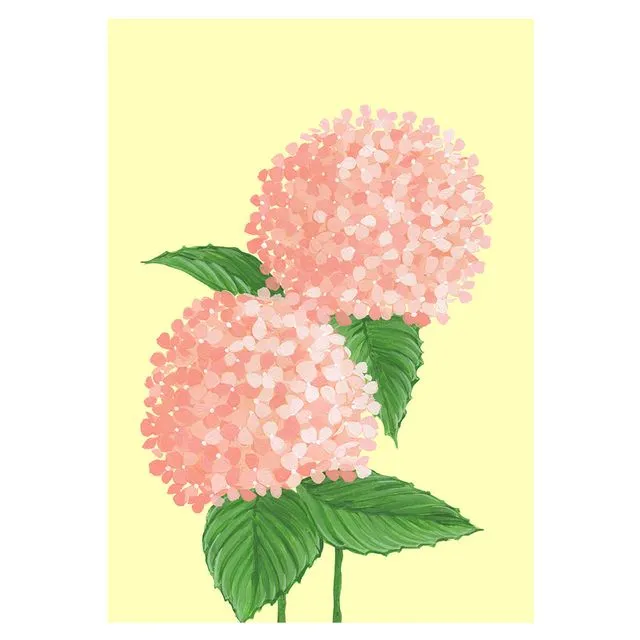 COLUMBIA ROAD HYDRANGEA Greeting Cards, pack of 6