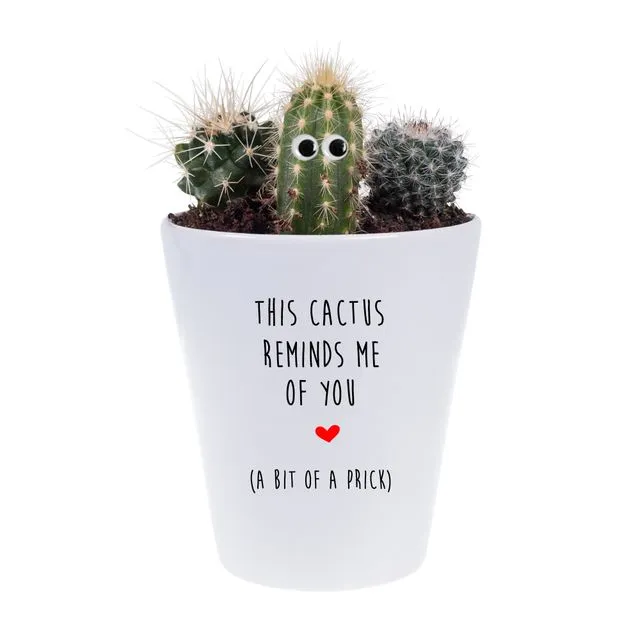 This Cactus Reminds Me Of You - Planter, Plant & Growing Kit
