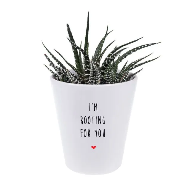 Rooting For You House Plant Pot, Plant & Growing Kit