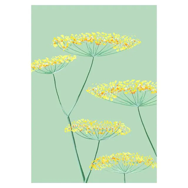 FENNEL Greeting Cards, pack of 6