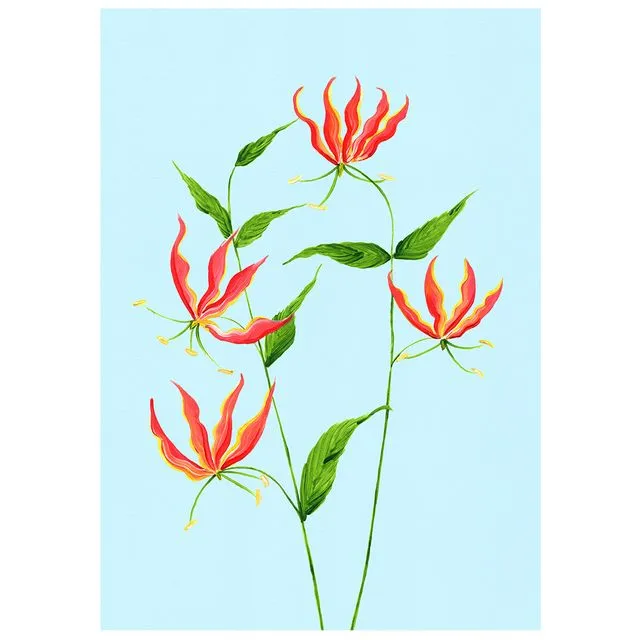 FLAME LILY Greeting Cards, pack of 6