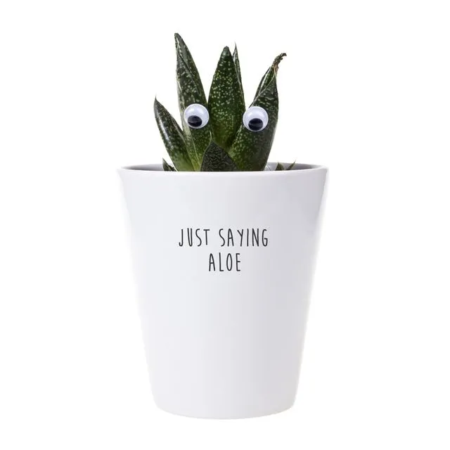 Just Saying Aloe House Plant Pot, Plant & Growing Kit