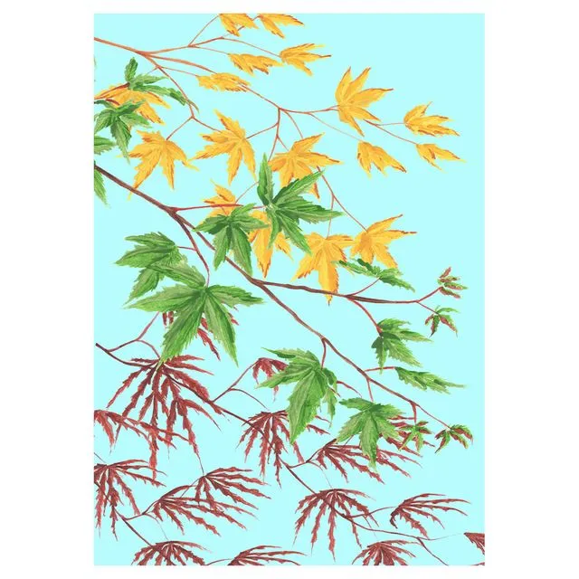 KYOTO GARDEN ACER Greeting Cards, pack of 6