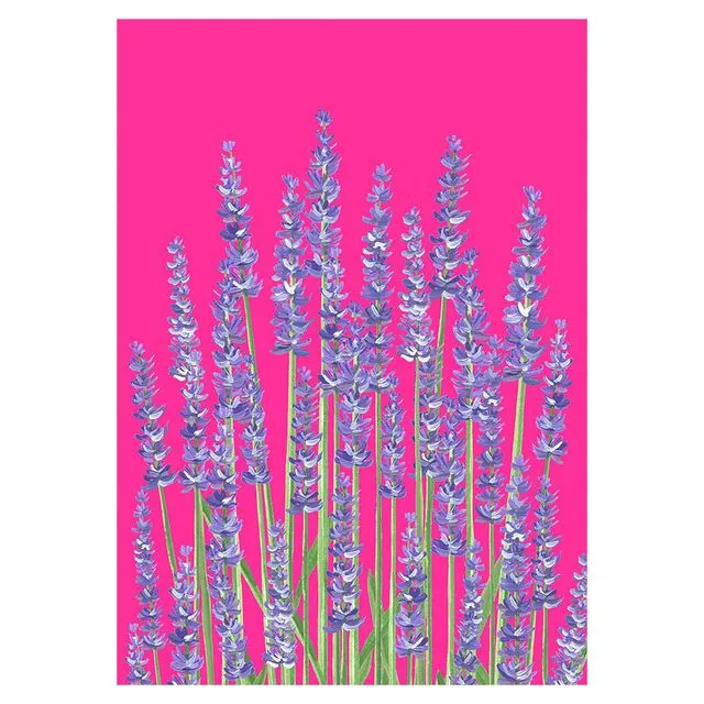 LAVENDER Greeting Cards, pack of 6