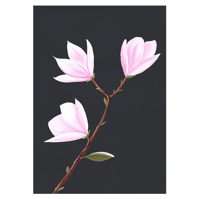 MAGNOLIA Greeting Cards, pack of 6