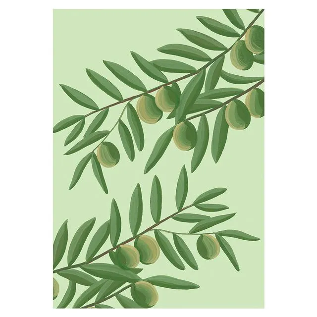 OLIVES Greeting Cards, pack of 6