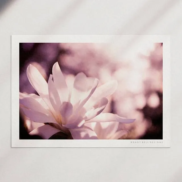 Wendy Bell Designs Unframed A4 Photographic Print - Magnolia Blossom