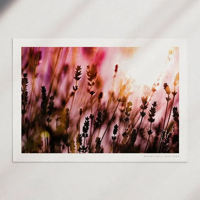 Wendy Bell Designs Unframed A4 Photographic Print - Lavender Silhouette