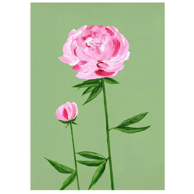 PEONY Greeting Cards, pack of 6