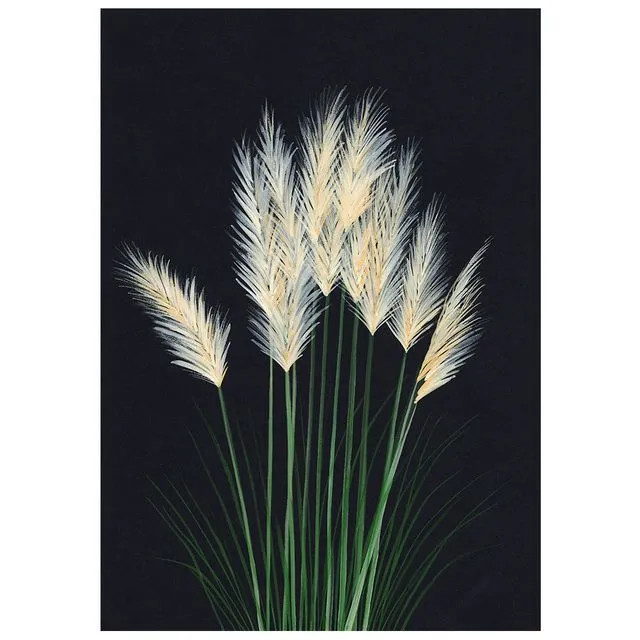 PAMPAS GRASS Greeting Cards, pack of 6