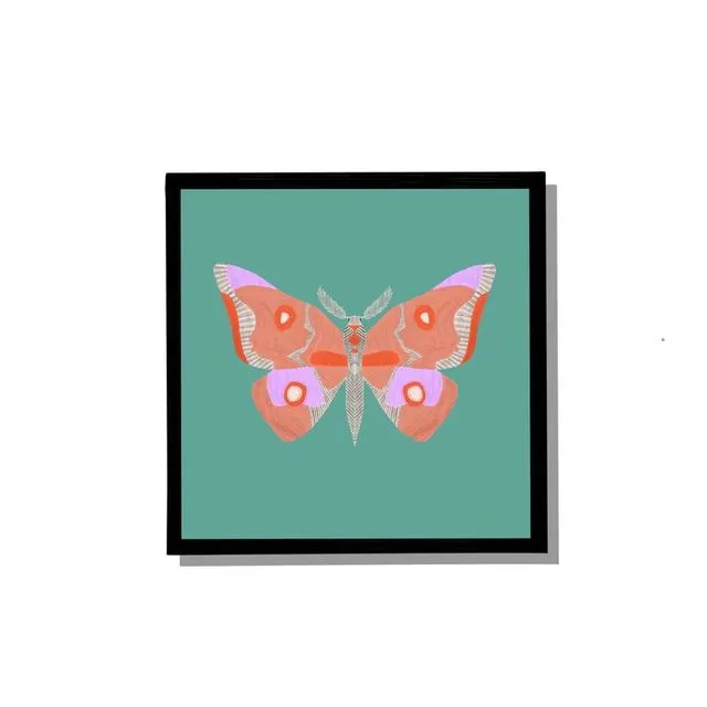 Moth - 21cm x 21cm square wall print