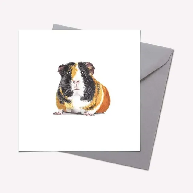 Furry Friends Collection: GUINEA PIG CARD - pack of 6