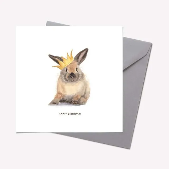 Furry Friends Collection: RABBIT 'HAPPY BIRTHDAY' CARD - pack of 6