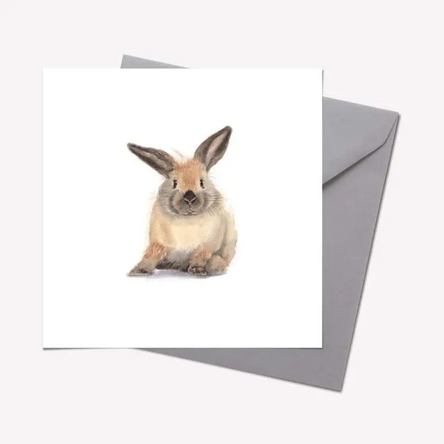 Furry Friends Collection: RABBIT CARD - pack of 6