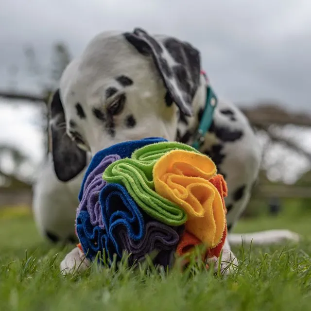 Rainbow Snuffle Ball for Dog Enrichment