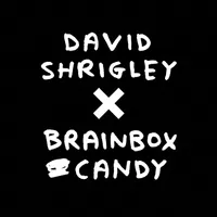 David Shrigley x Brainbox Candy Ltd avatar