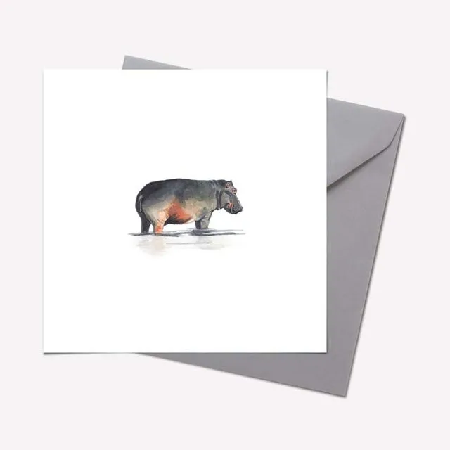 Wild Beasts Collection: HIPPOPOTAMUS CARD - pack of 6