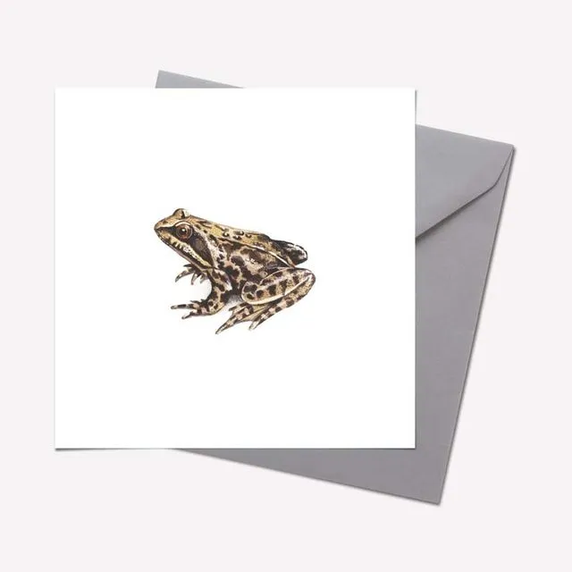 Creatures Collection: FROG CARD - pack of 6