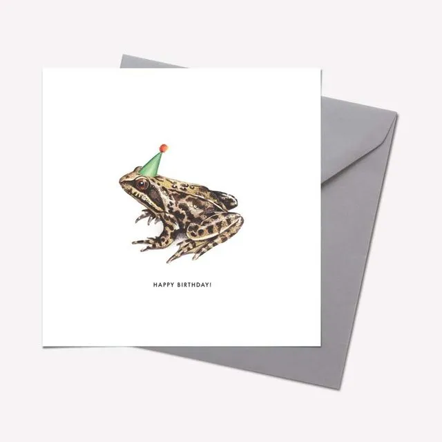 Creatures Collection: FROG 'HAPPY BIRTHDAY' CARD - pack of 6