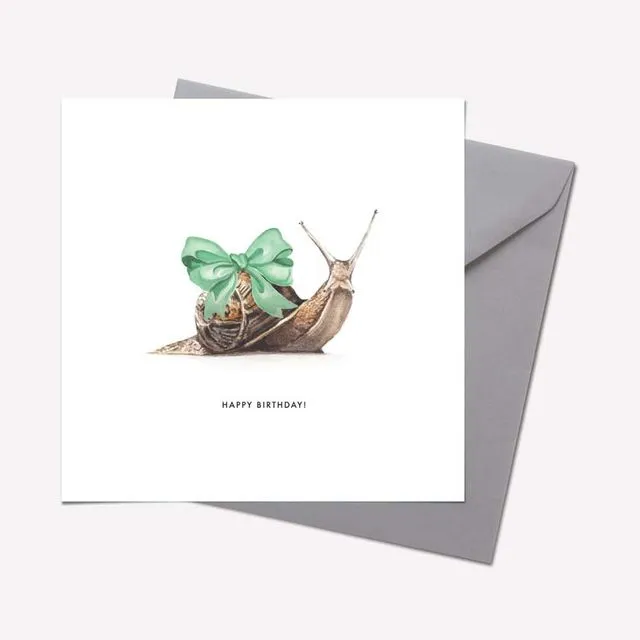 Creatures Collection: SNAIL 'HAPPY BIRTHDAY' CARD - pack of 6