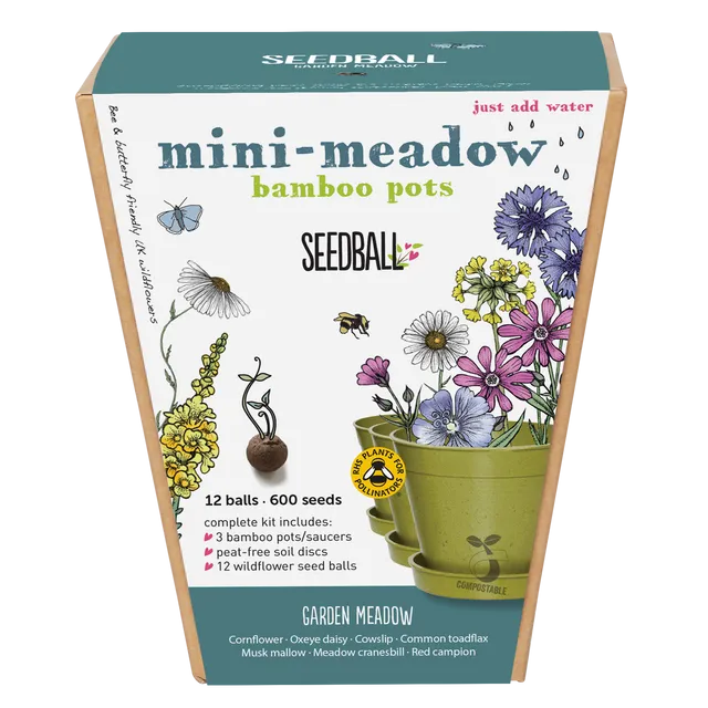 Mini Meadow Bamboo Pots (Pack of 6)