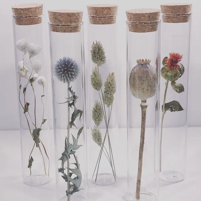 TUBE 20 CM WITH DRIED FLOWER